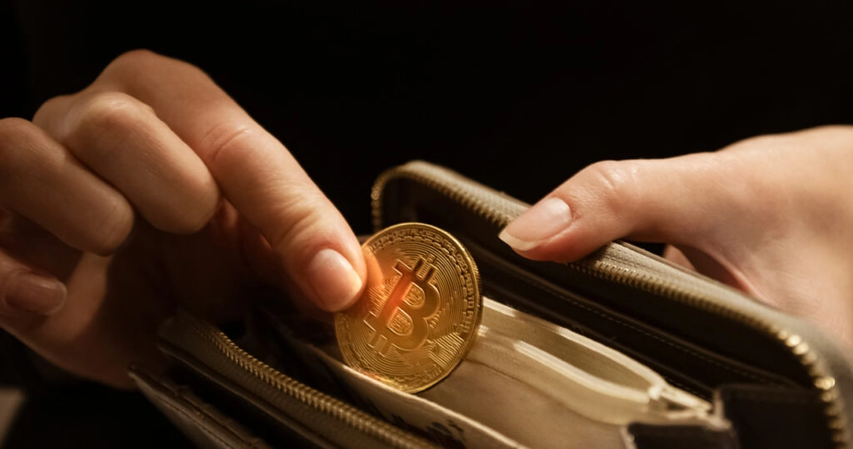 How to Choose the Right Crypto Wallet?